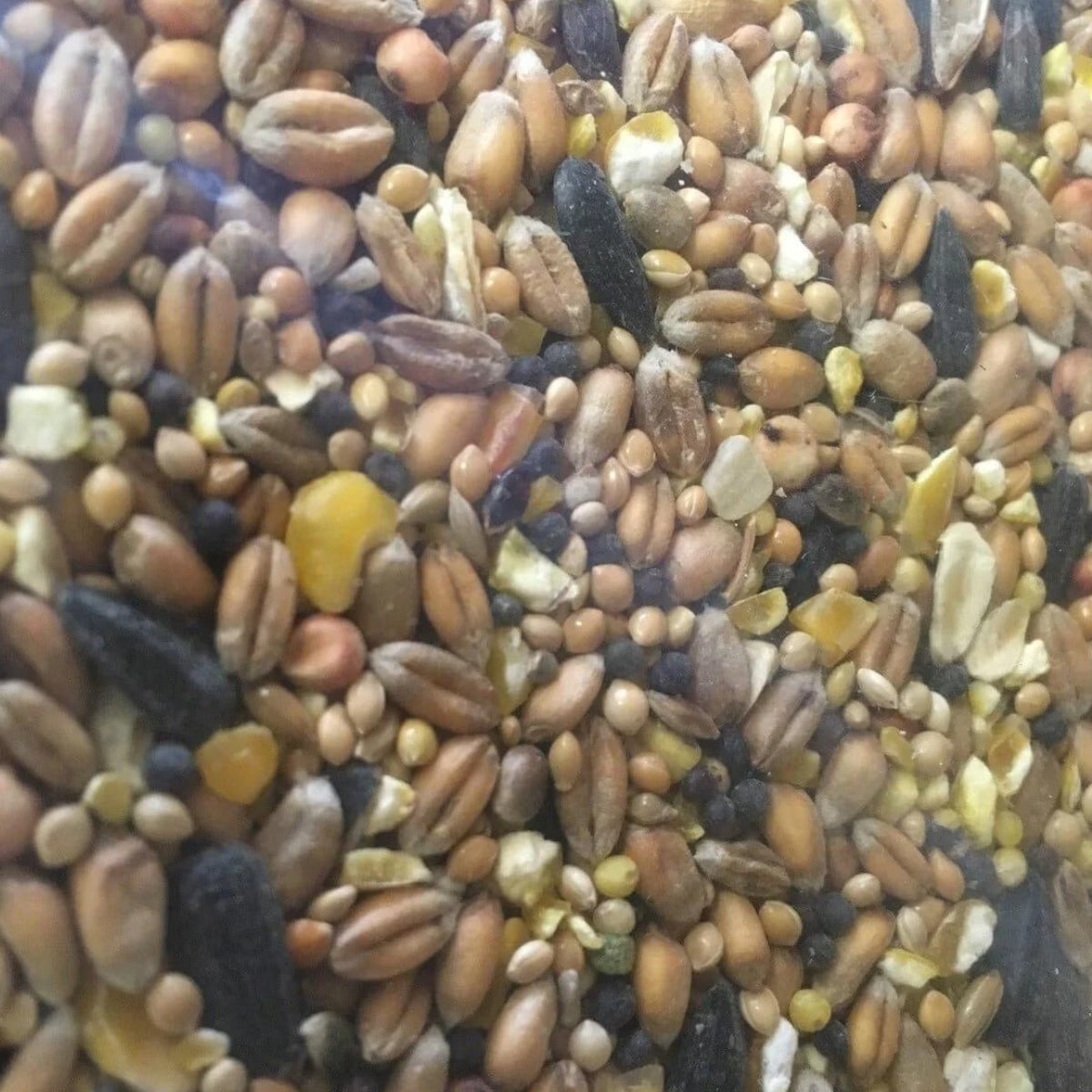 Wild Bird Seed 1.5kg image 0