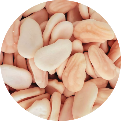 Foam Small Shrimp 200g image 0