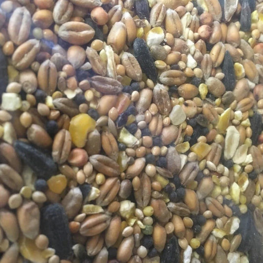 Wild Bird Seed 1.5kg image 0