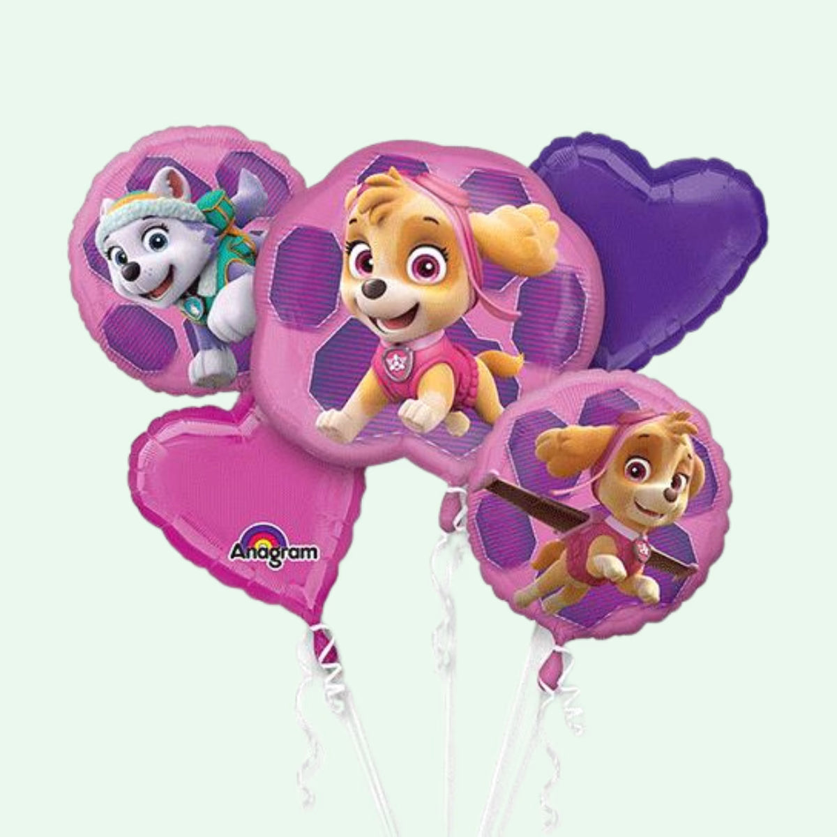 Paw Patrol Skye Bouquet x 5 Foil Balloons (86) image 0