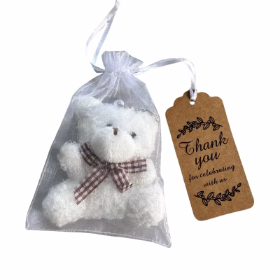 Baby Shower Favours Teddy in an Organza bag with label