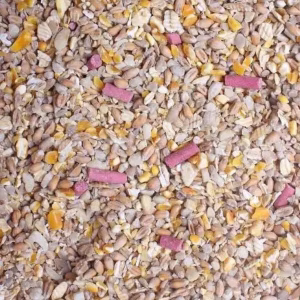 Wild Bird No Grow Seed 1.5kg